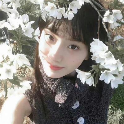 小黄花青草地